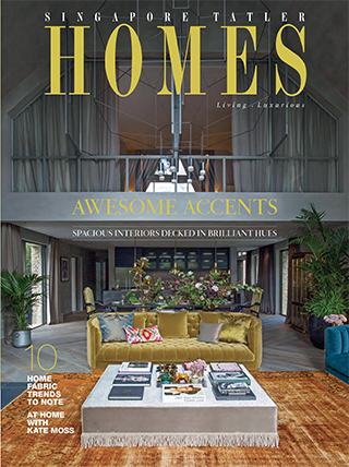 STHomes-OctNov16 Cover_320.jpg